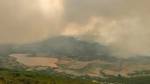 Fuego Porto
