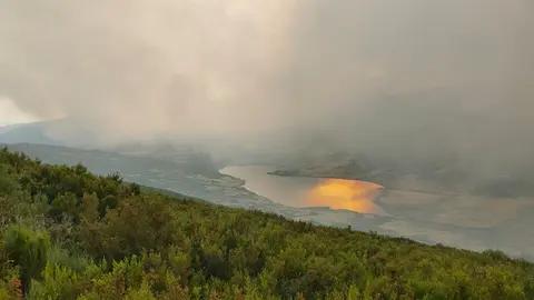 peces fuego _4