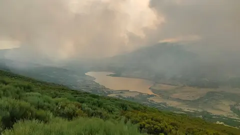peces fuego _8