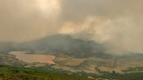 peces fuego _12