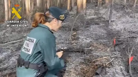 La Guardia Civil incendios provocados