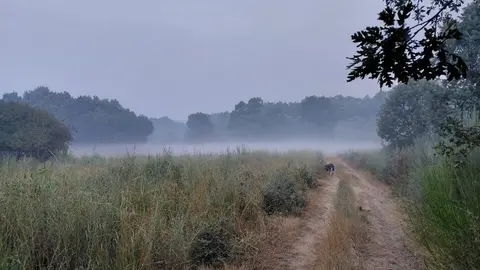 Niebla envuelta y humo