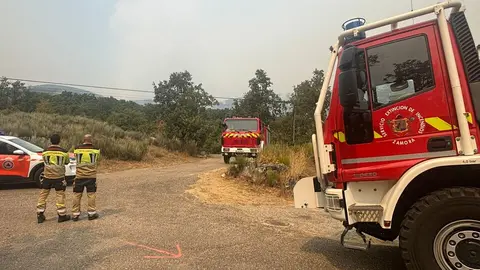 Bomberos de Zamora y protección Civil en Vigo de Sanabria