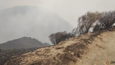 cañón del Forcadura arrasado por las llamas