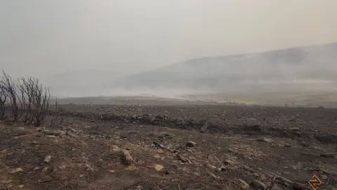 cañón del Forcadura arrasado por las llamas
