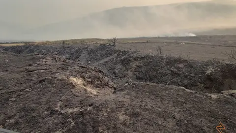 cañón del Forcadura arrasado por las llamas