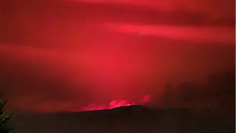 Cerdillo