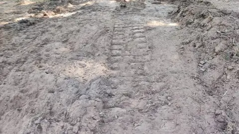 Los bulldozers abren camino a la esperanza: noche intensa y determinante en la lucha contra el fuego en Sanabria
