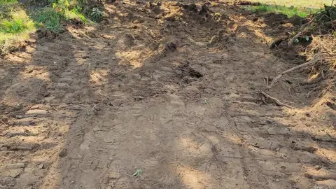 Los bulldozers abren camino a la esperanza: noche intensa y determinante en la lucha contra el fuego en Sanabria