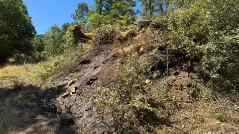 quema palacios sanabria