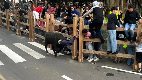 encierros toro