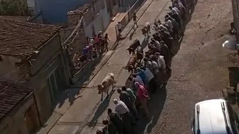 fermoselle encierro 1