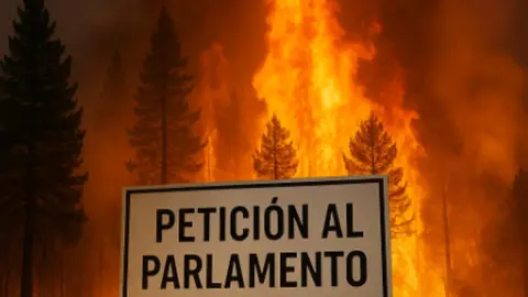 petición al parlamento europeo