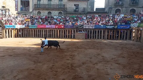 Concurso de Cortes Fermoselle