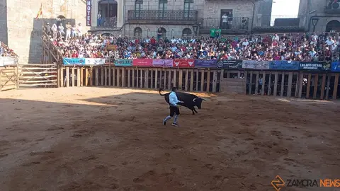 Concurso de Cortes Fermoselle_3