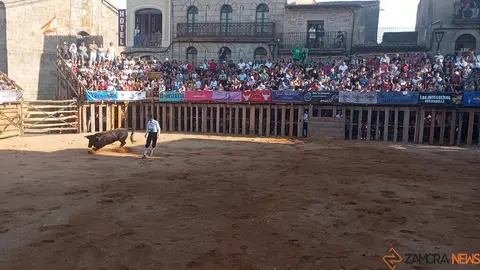 Concurso de Cortes Fermoselle_4