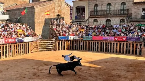 Concurso de Cortes Fermoselle_6