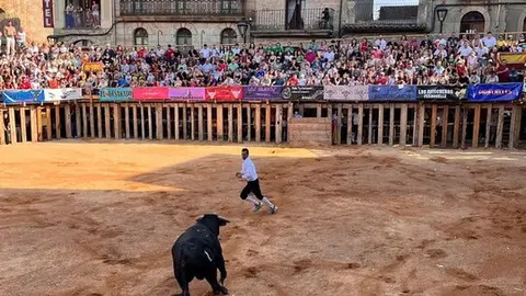 Concurso de Cortes Fermoselle_10