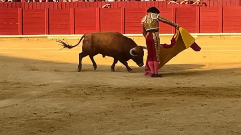 Corrida Toro 2025_2