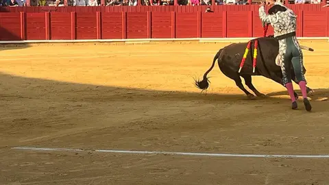 Corrida Toro 2025_10