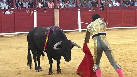 Corrida Toro 2025_29