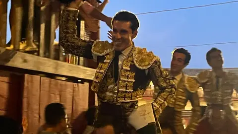 toros toro