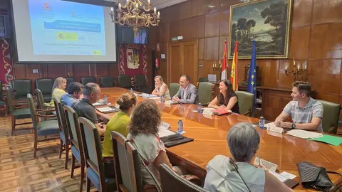 Reunión Comisión de Seguimiento Subdelegación de Zamora