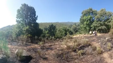 San Ciprián IfPorto