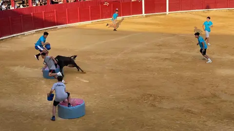 Grand Prix Toro