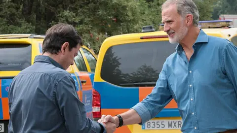 Rey Felipe y Maññueco visitan incendio de Porto