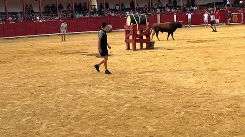 Fuente del Vino Toro 