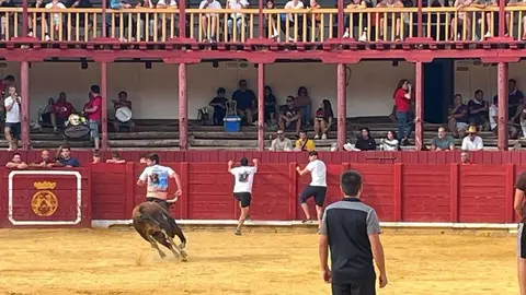 Fuente del Vino Toro _2