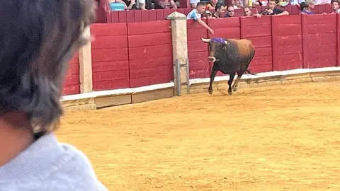 Fuente del Vino Toro _4