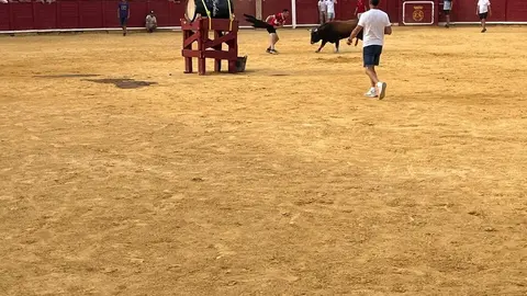 Fuente del Vino Toro _5