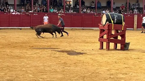 Fuente del Vino Toro _6