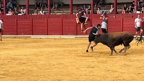 Fuente del Vino Toro _7