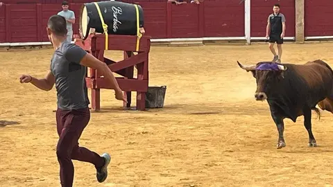 Fuente del Vino Toro _8