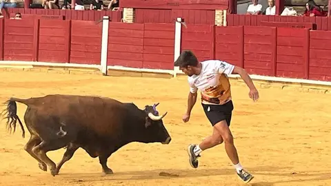 Fuente del Vino Toro _9