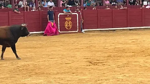 Fuente del Vino Toro _10