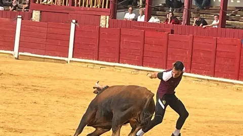 Fuente del Vino Toro _11