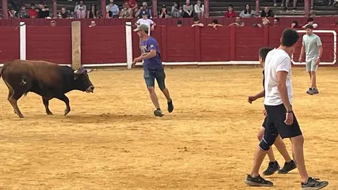 Fuente del Vino Toro _12