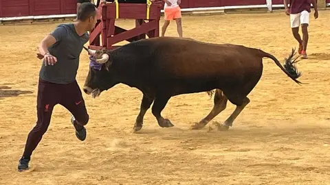 Fuente del Vino Toro _13