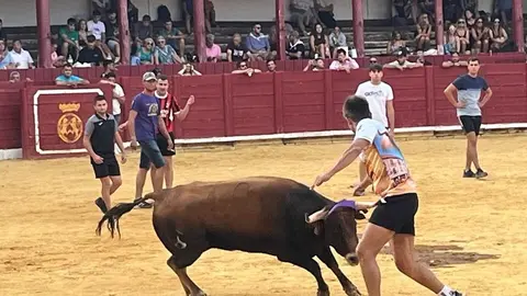 Fuente del Vino Toro _14