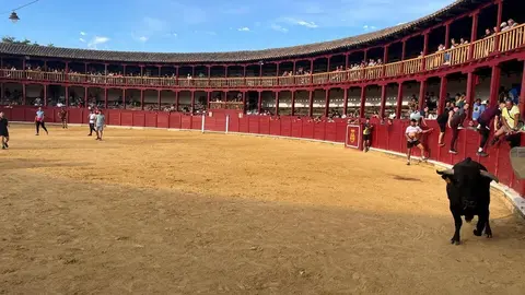 Fuente del Vino Toro _16