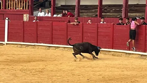 Fuente del Vino Toro _18