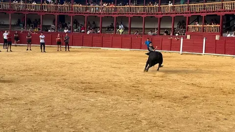 Fuente del Vino Toro _19