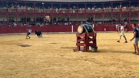 Fuente del Vino Toro _20