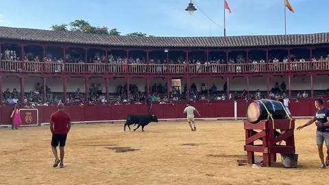 Fuente del Vino Toro _21