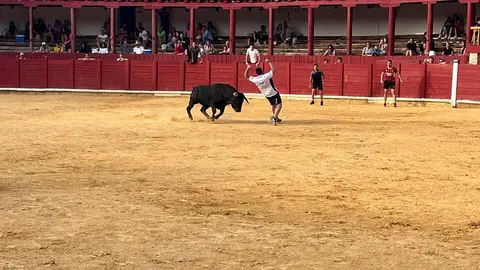 Fuente del Vino Toro _22