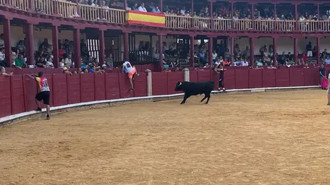 Fuente del Vino Toro _23